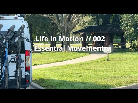 Motion Life Life in Motion // 002: Essential Movement - YouTube