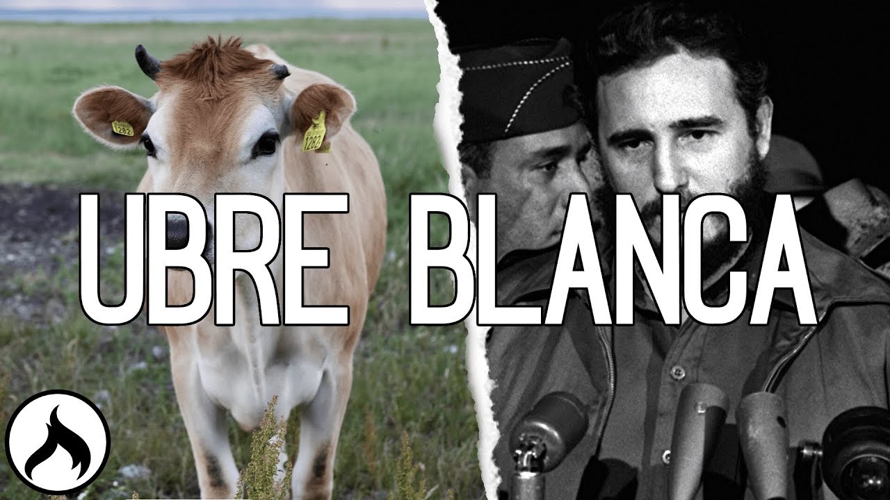 Fidel Castro's Milk Obsession | Ubre Blanca