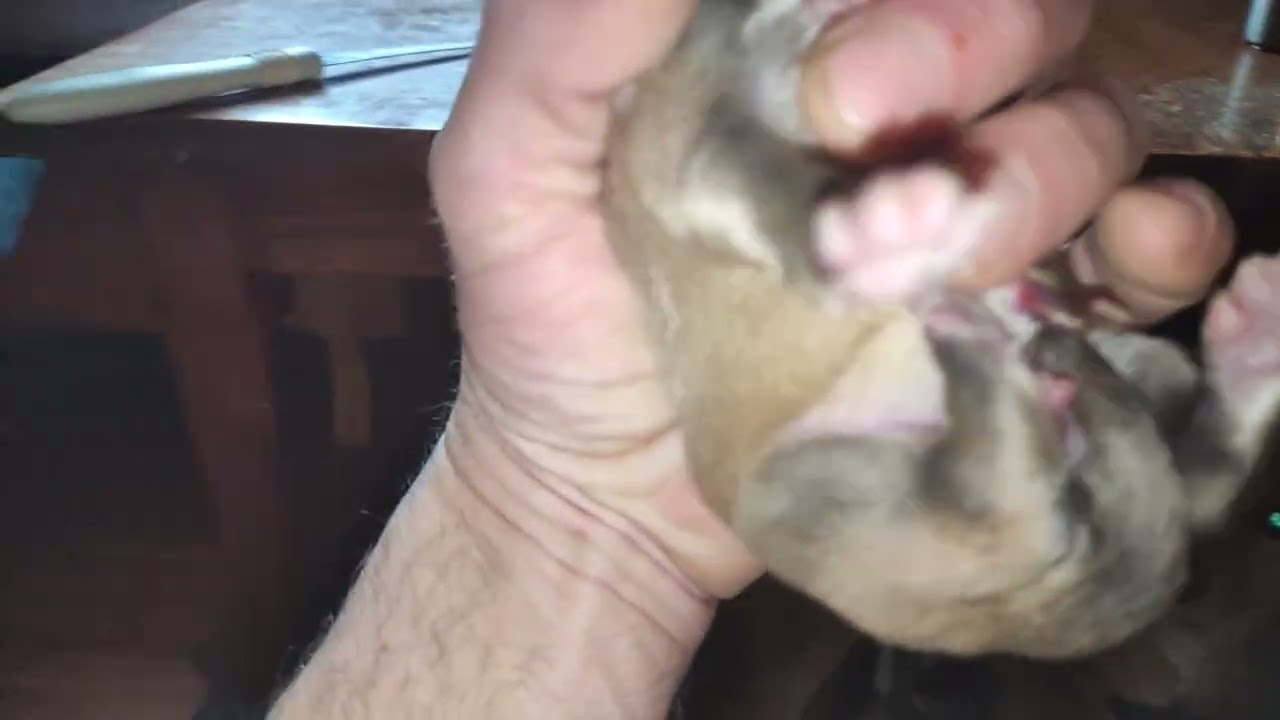 Мия сегодня родила ☺️