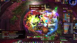 Dark Singularity vs Mythic Tyrant Velhari [Feral Druid POV]