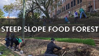 Food Forest on a Steep Slope