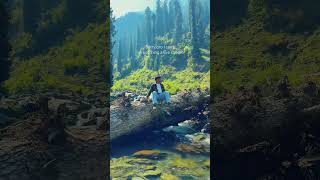 Sorry bro I Can’t  #river #riversounds #forest #mountains #nature #naturesounds #explorehimachal