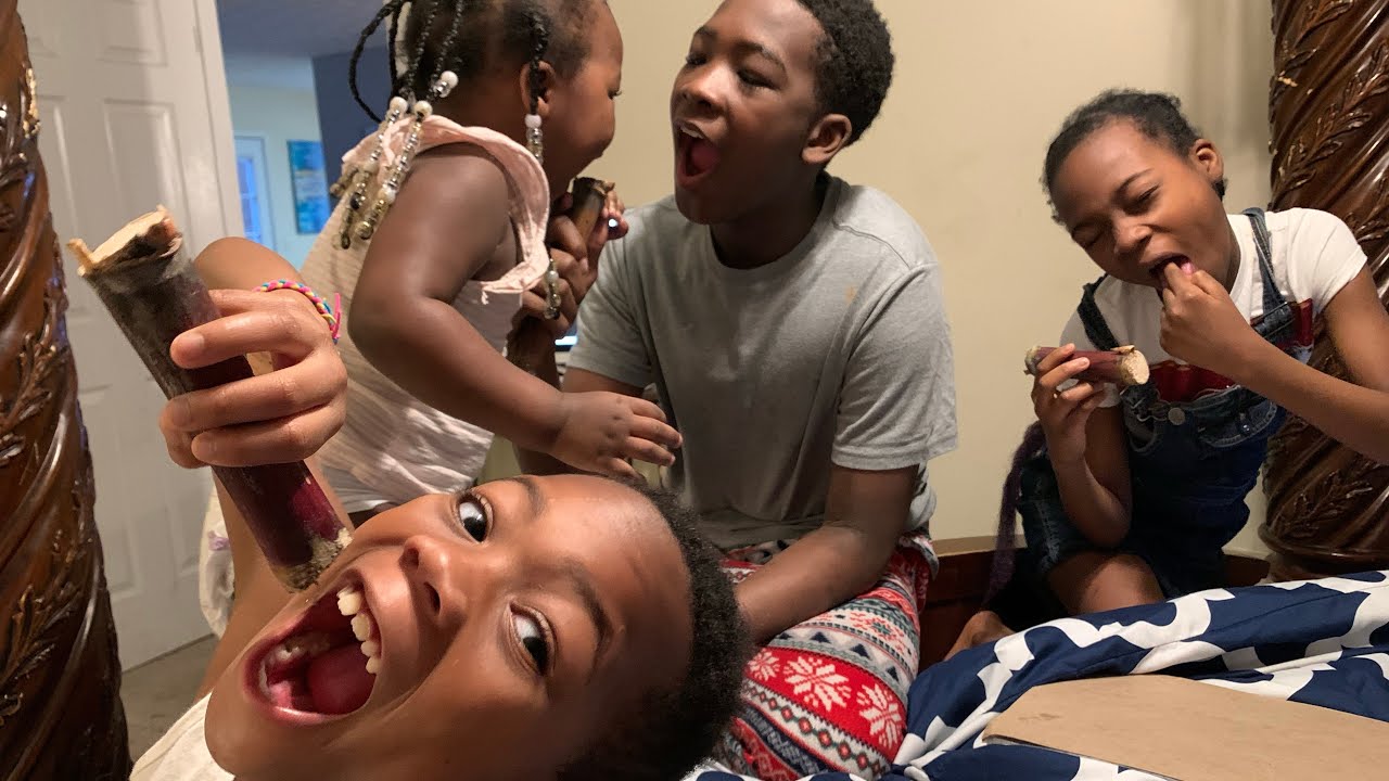 Vlogmas Day 22: Eating Sugar Cane for the First Time - YouTube