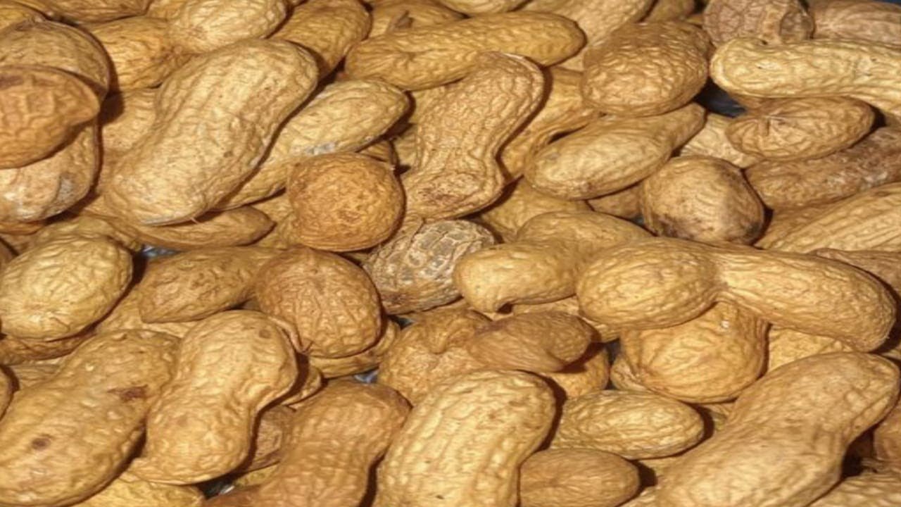 Naziya Cooking  is live!