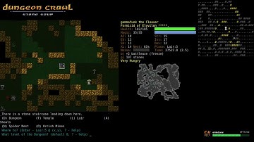Dungeon Crawl Stone Soup 0.22-a - Formicid Earth Elementalist of Elyvilon - Part 6