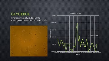 LB 273 Lab Report Video