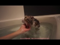 ふくたん至福の時間