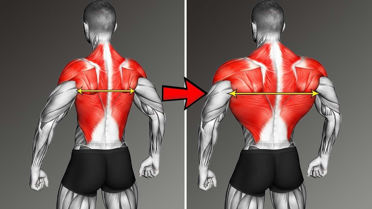 Demon Back Build Build a Demon Back Fast 5 Exercises for Maximum Thickness - YouTube