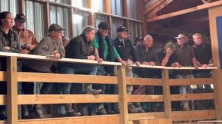 Orere Angus lot 3 sells for $65k