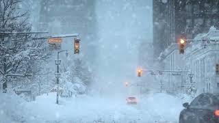 Winter Storm Ambience┇Howling Wind & Blowing Snow┇Freezing Snow Storm & Wind Sounds for Sleeping