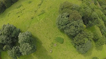 Yesterdays flight with the thugpig and sp3 evo with betaflight 2.9.0