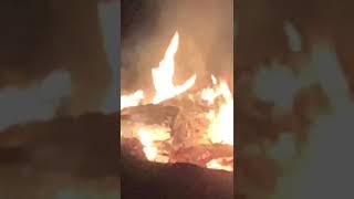 Healing fire for Steven B, my condolences, RIP Ziggy