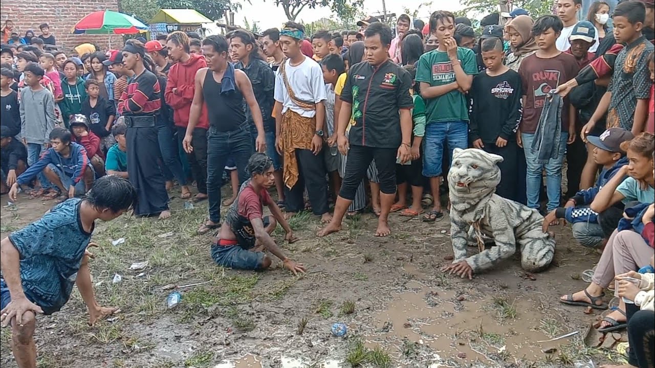 macanan ngamuk di sruwiti Bantengan alas Purwo saputro live kedungmaling kamset
