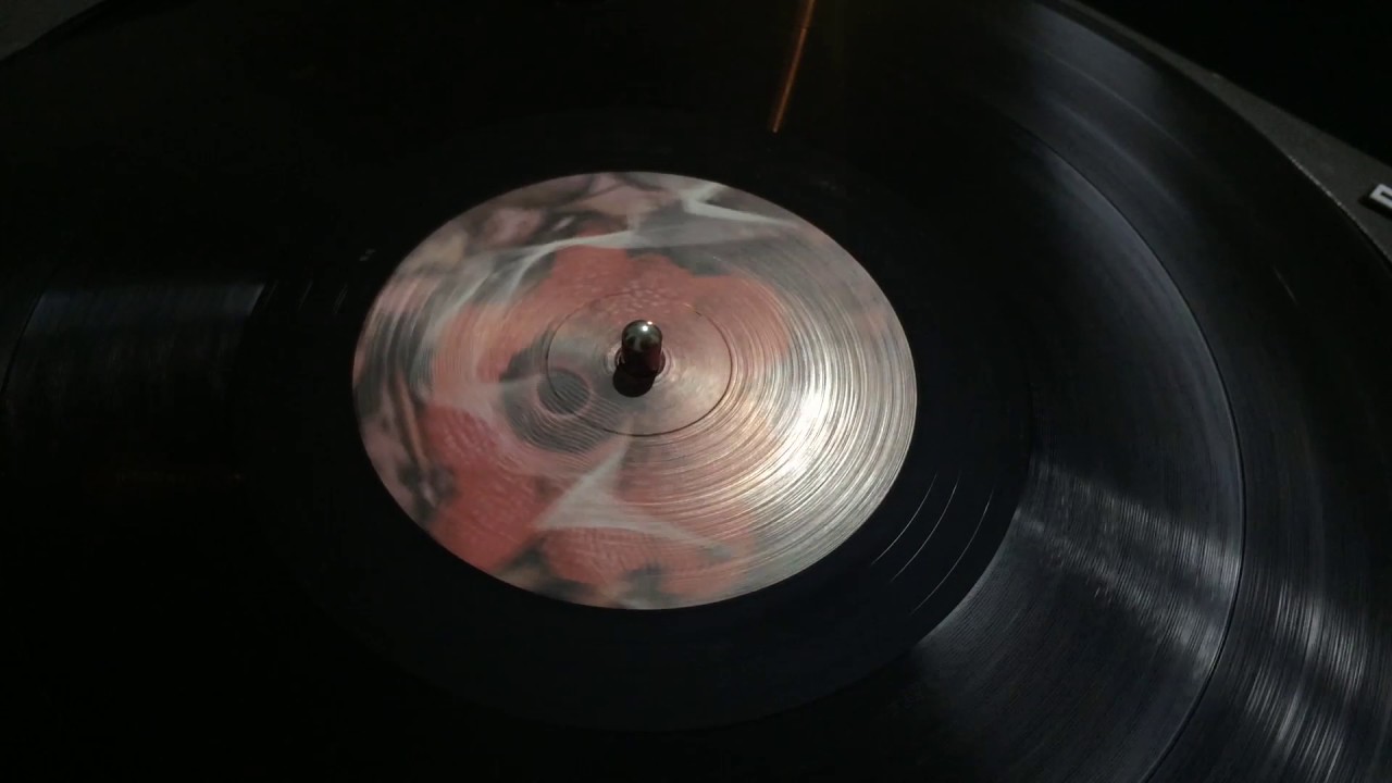 Nicolas Diez - Amazonia