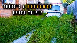 2 Years of Growth Completely Hid This Driveway...