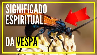 Qual O Significado Espiritual Da Vespa - O Presságio Da Vespa