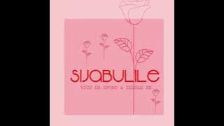 Vico Da Sporo, Zelule zn - Sijabulile