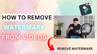 How To Remove Watermark From Videos In Filmora 12 | Remove Watermark In Filmora How To Remove Watermark From Videos In Filmora 12 | Remove Watermark In Filmora