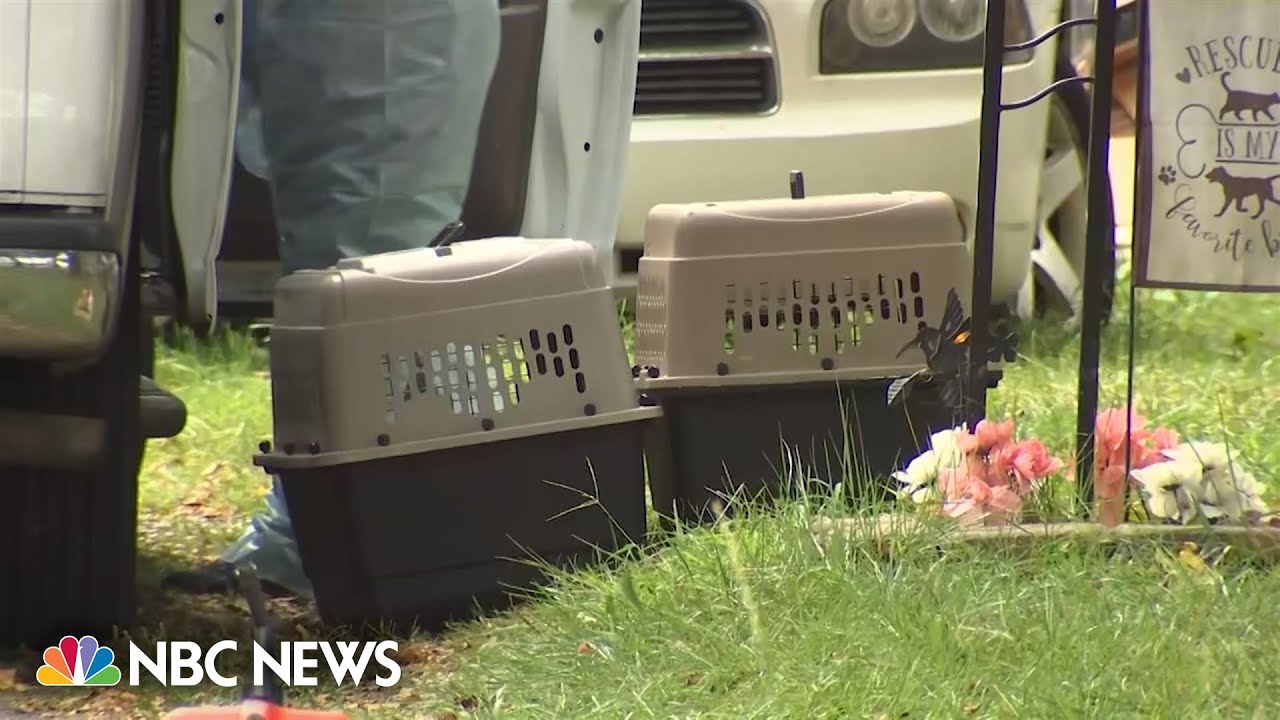 Two charged with animal cruelty after dozens of dead dogs found in New Jersey home
