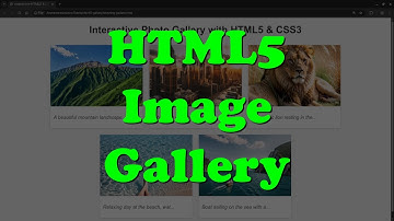 Create a Stunning Image Gallery with HTML5 & CSS3 (Beginner-Friendly!)