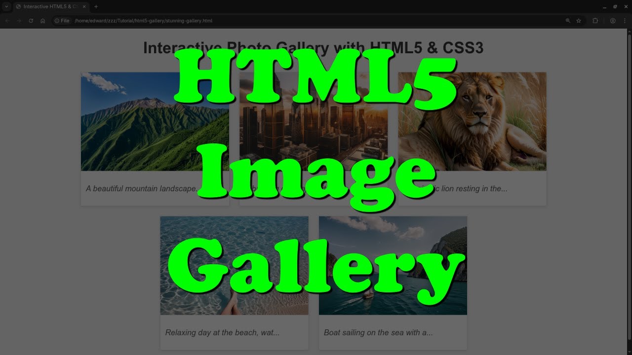 Create a Stunning Image Gallery with HTML5 & CSS3 (Beginner-Friendly ...