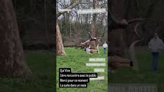 Extrait Qui Vive