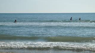 Live Surfing Florida Daytona Beach 1.6ft @8 ene
