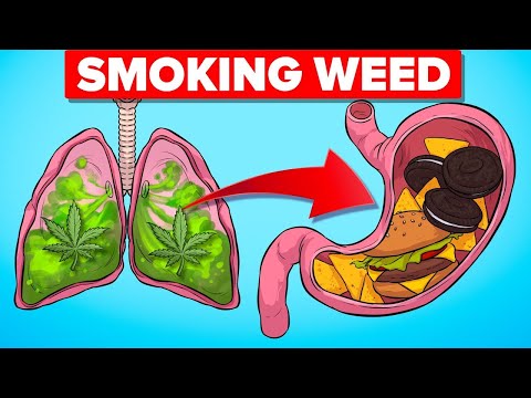 What Happens To Your Body When Smoking Weed And Other Crazy Heath Stories (Compilation)