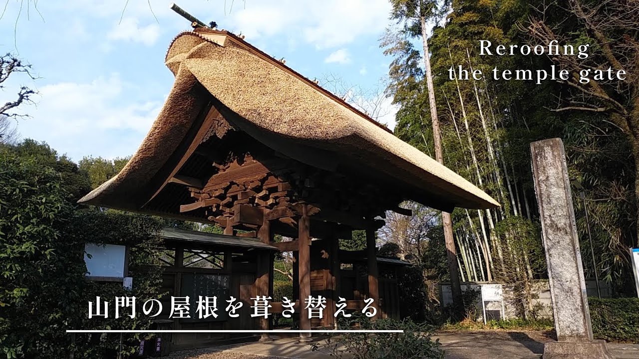 煤竹 京都 北山合掌 茅葺 屋根材 園芸竹材 500_F_753461600_05GAZBaeSdJSQ0