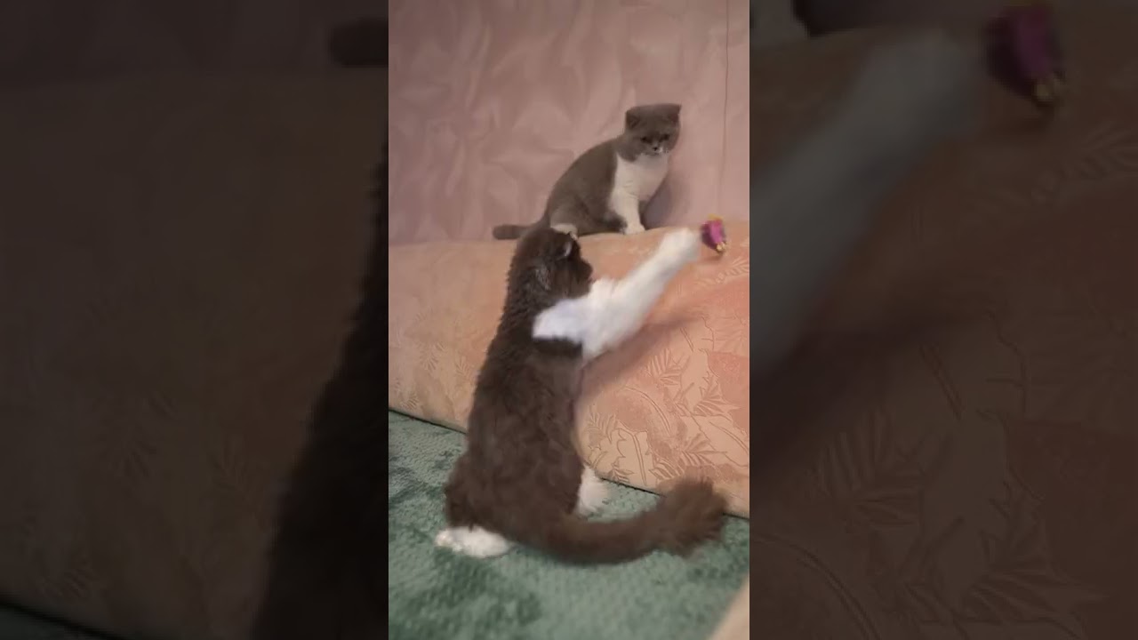 66546 Удочка с натуральной имитацией звука в движении (мышка)