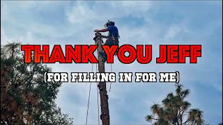 What if the Tree is Too Tall? Call Jeff.