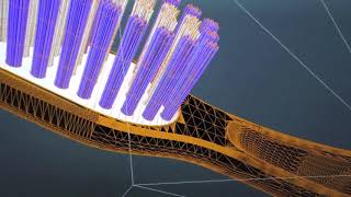 Daha Önce Böyle Bir Diş Fırçası Görmediniz - Best Toothbrush