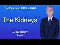 Gcse biology revision the kidneys triple