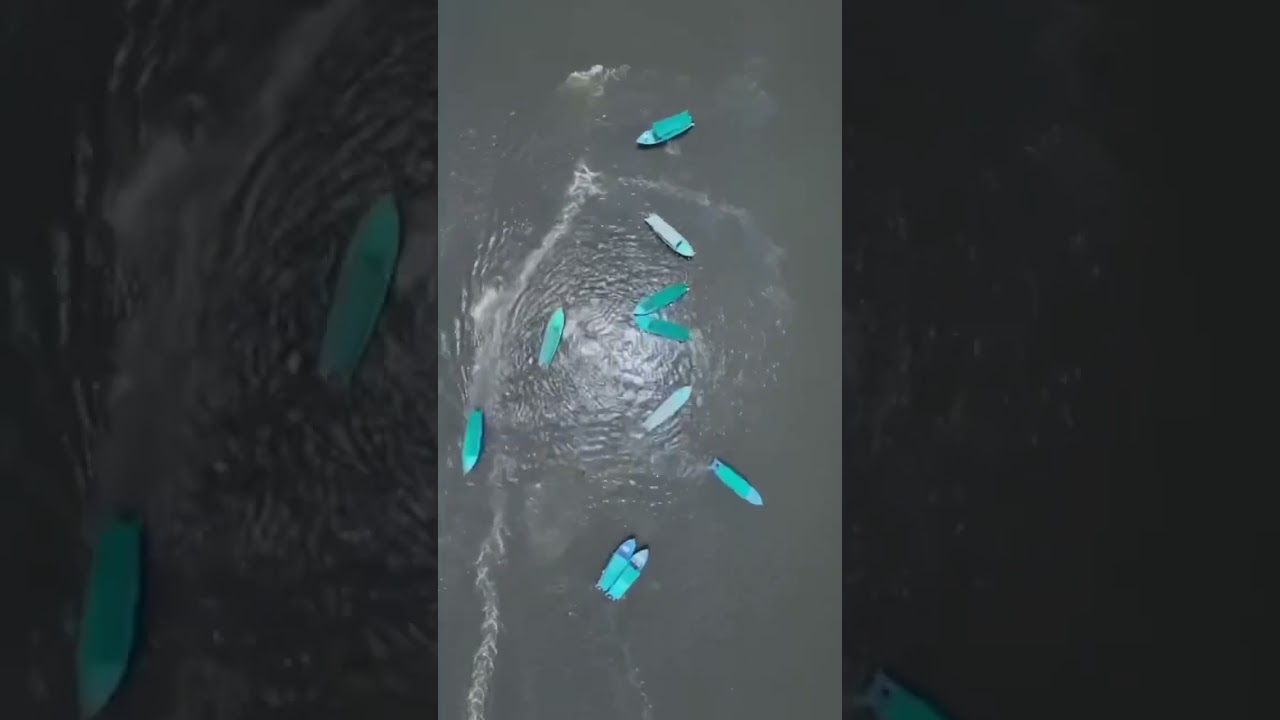 Melbourne NTR fans pre Celebrations for DEVARA movie with 20 boats😱🤙🏻🔥