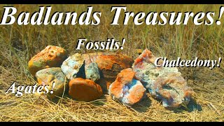 Birt ay Rock Hunt in the South Dakota Badlands Amazing Chalcedony Prairie Agates and Fossils