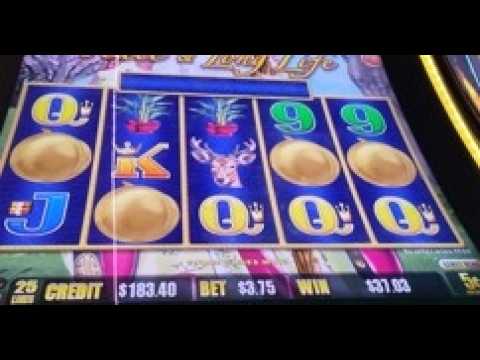 Comment S'inscrire et Réclamer vos Free Spins