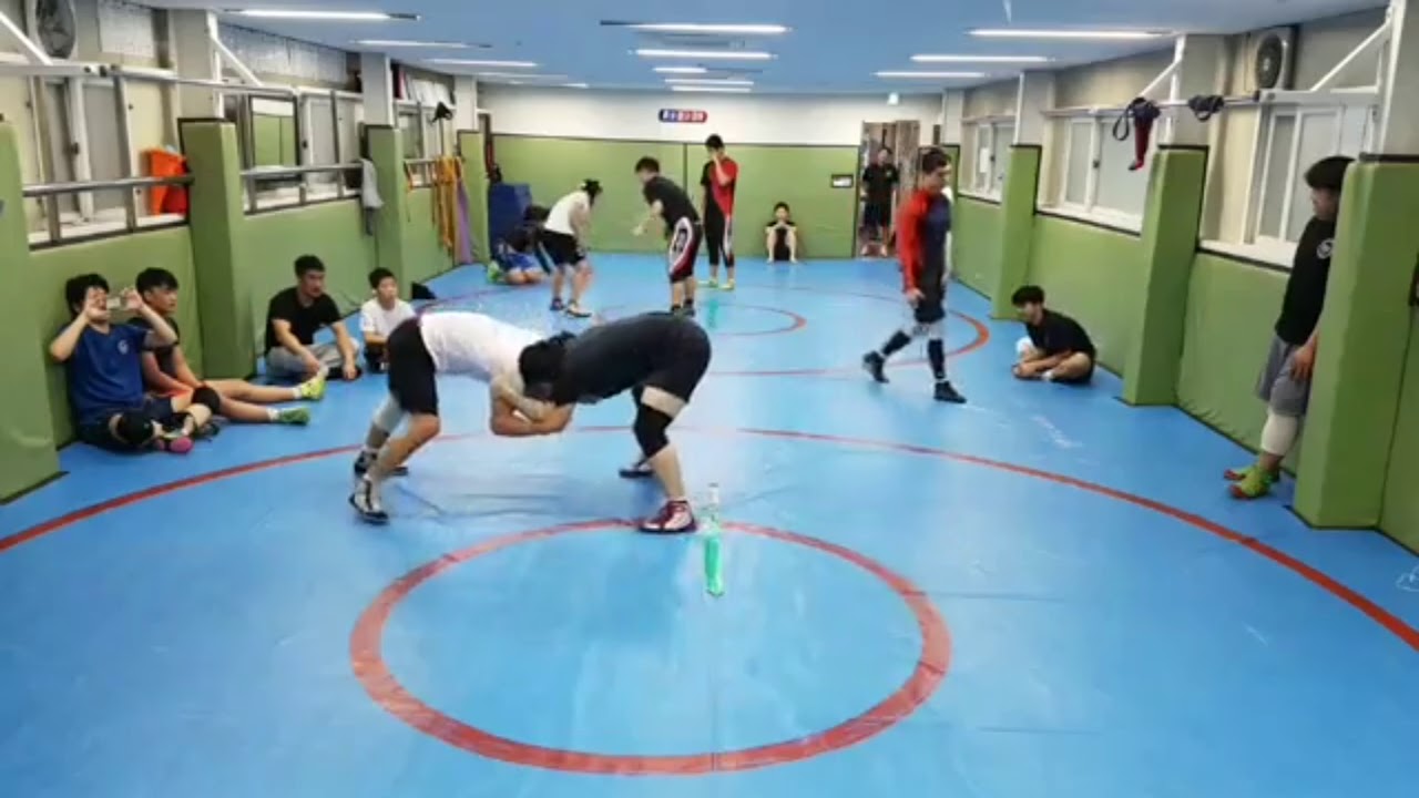 레슬링 국가대표 74kg 김대성선수의 지도스파링