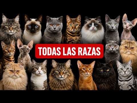 Todas estas razas comparten un mismo gen secreto