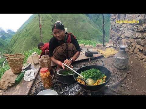 this is the daily chores of mountain life || lajimbudha ||