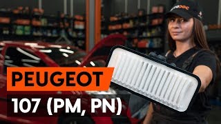 Desmontar Elemento filtro de aire PEUGEOT - vídeo tutorial