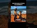 #reels #nathanpereira #babi #viral