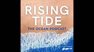 Rising Tide #40 – Cynthia Barnett’s Ocean of Sea Shells