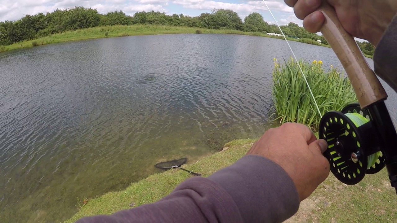 Trout Fishing (feisty rainbow), UK, June 2017 