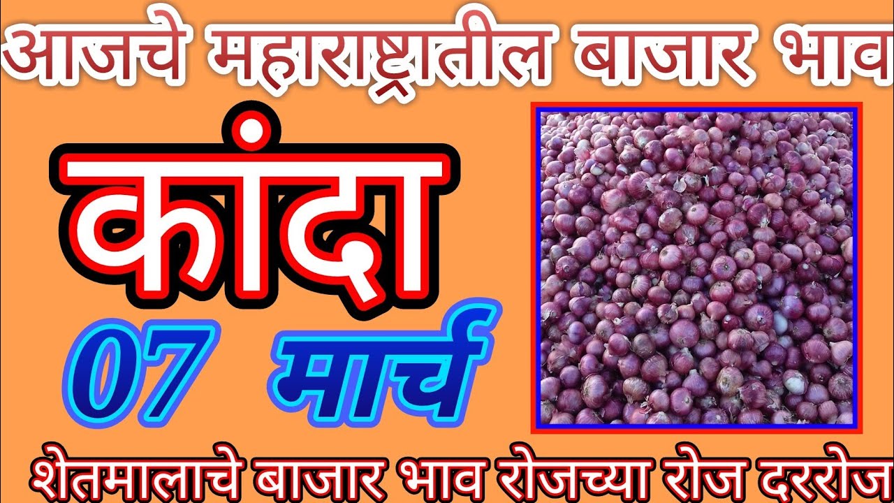 कांदा बाजार भाव महाराष्ट्र मधील APMC चे ## onion price in All maharastra #प्याज के मंडी दाम