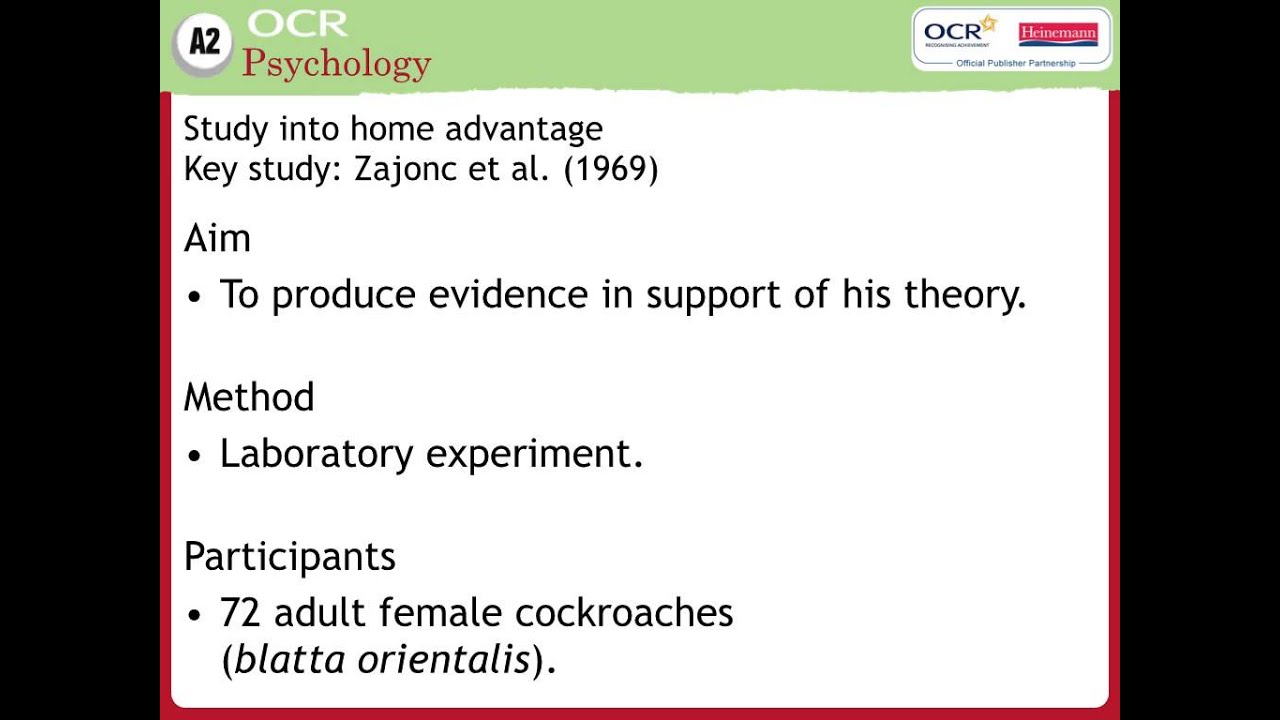 ️ Audience effect psychology. Audience effect. 2019-02-12