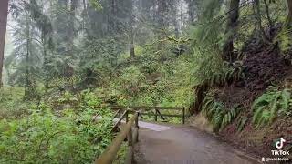 Nature Walks; testing how bad the reencoding is after already getting branded.