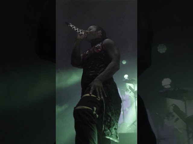 Ruckus at Y Not Festival last weekend - We Live Forever 🔥