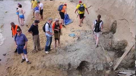 Prehistoric Find Along Calvert Cliffs