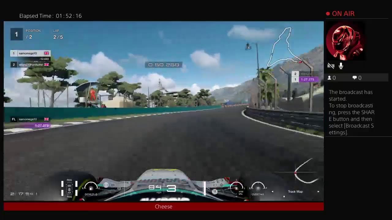 GT sport. Driving in public servers.