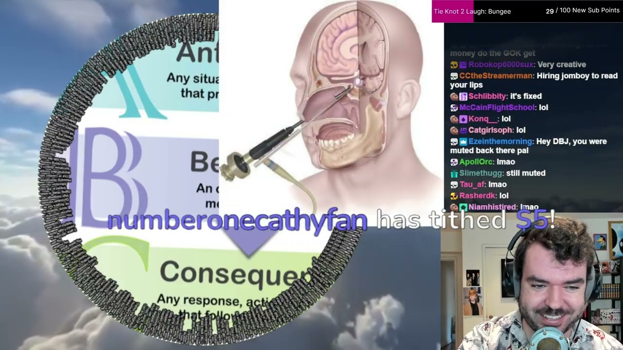 WELCOME TO THE WHEEL OF BEHAVIOR - Deadblossomjesse Stream VOD